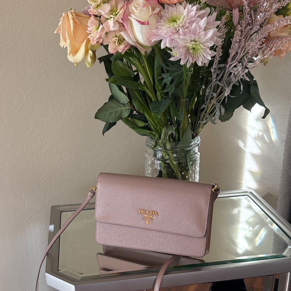Prada Blush Crossbody Bag! (With dust bag)